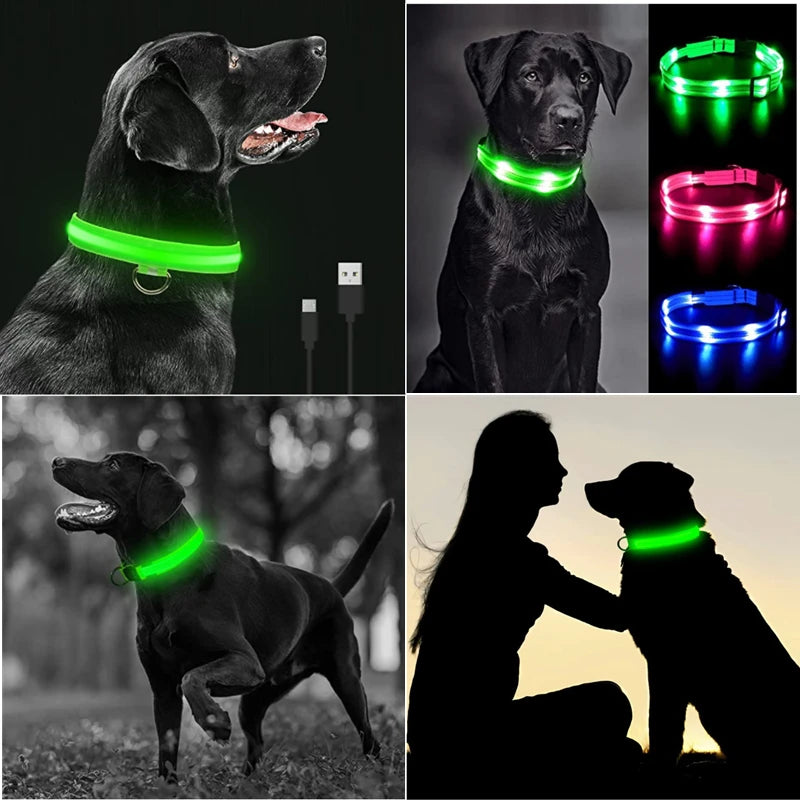 LED Light-Up Dog Collar for Night Safety - USB Rechargeable