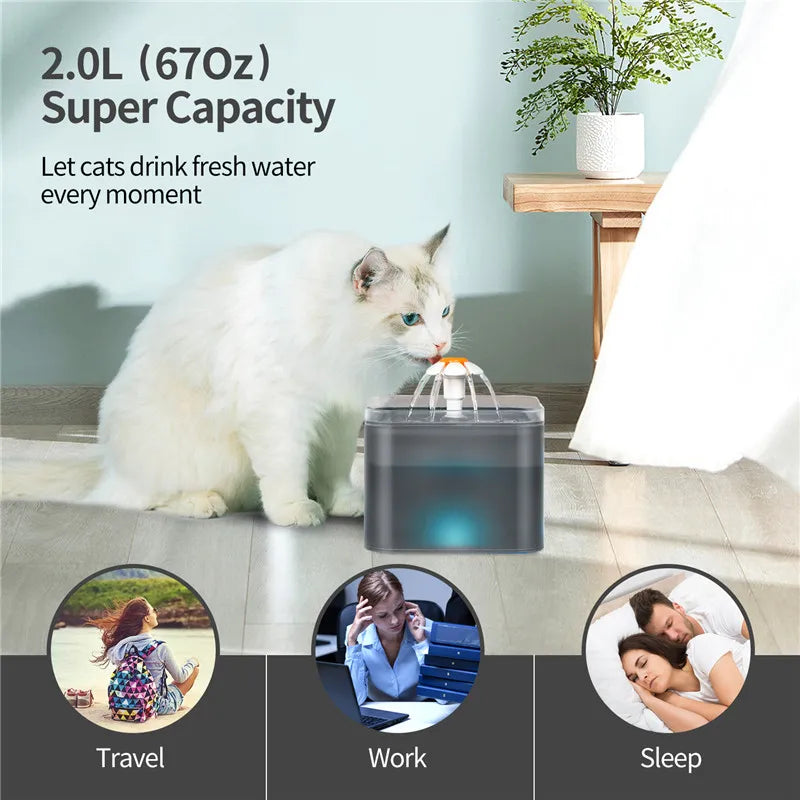 LED Water Fountain for Cats and Dogs with Recirculating Filter