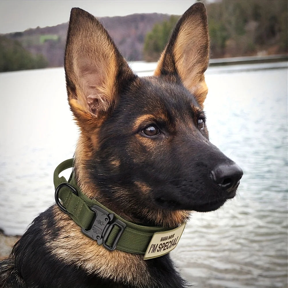 Tactical Dog Collar with Handle for Medium and Large Dogs