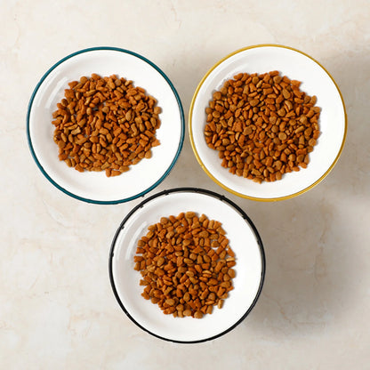 Whisker-Friendly Ceramic Cat Bowl with Stand for Food & Water