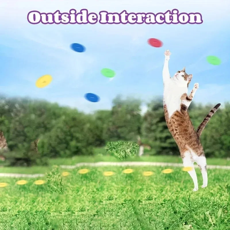 15pcs Reusable Foam Discs for Dog and Cat Playtime