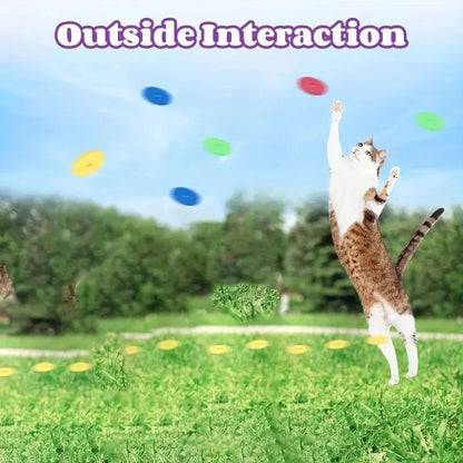15pcs Reusable Foam Discs for Dog and Cat Playtime