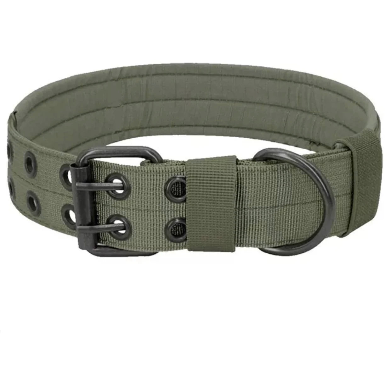 Reflective Heavy-Duty Nylon Dog Collar for Training