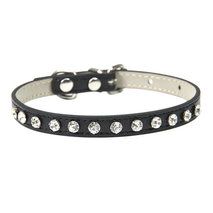 Rhinestone Cat Collar and Leather Dog Neck Strap
