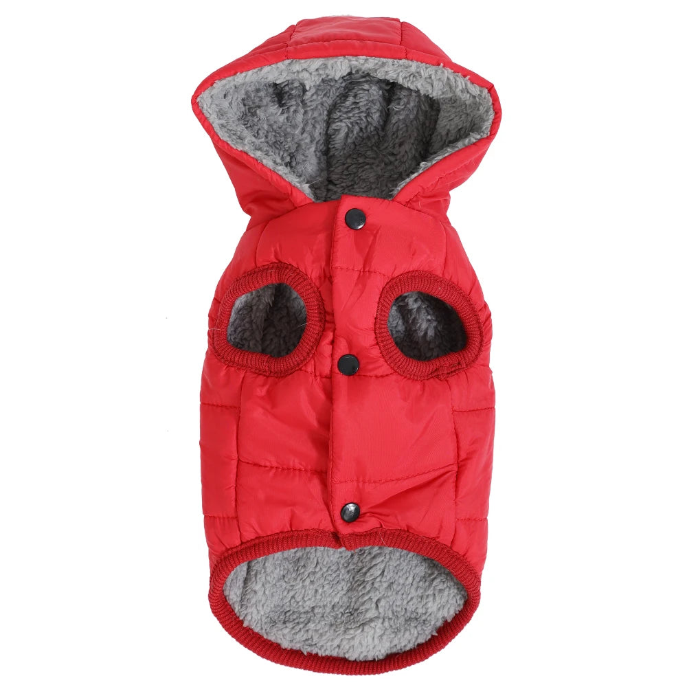 Soft Fleece Hooded Jacket for Small Cats and Kittens