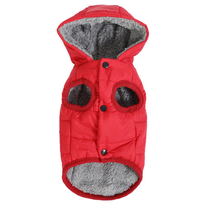 Soft Fleece Hooded Jacket for Small Cats and Kittens
