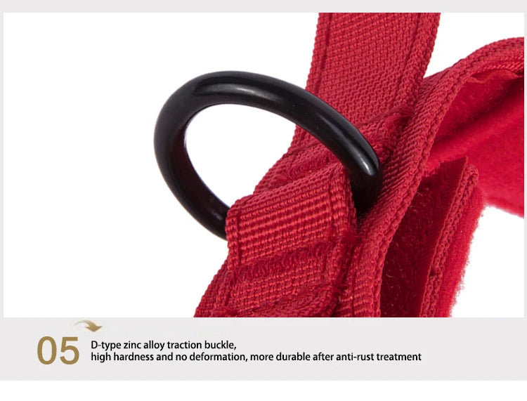 Durable Nylon Dog Collar and Reflective Leash Set
