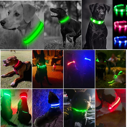 LED Light-Up Dog Collar for Night Safety - USB Rechargeable