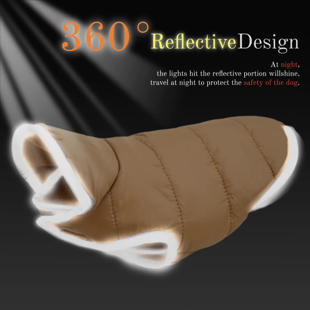 Reversible Waterproof Cat Jacket with Leash Hole for Winter