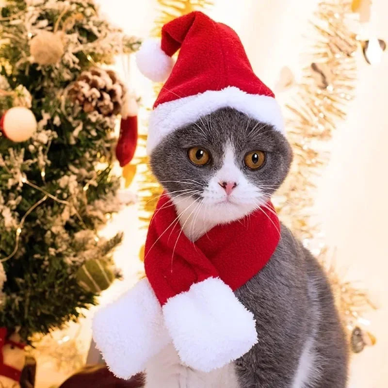Pet Christmas Hat and Scarf Set for Cats and Small Dogs