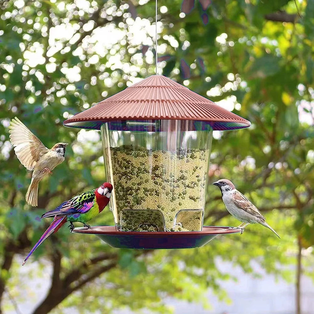 Transparent Window Bird Feeder for Nuts and Seeds