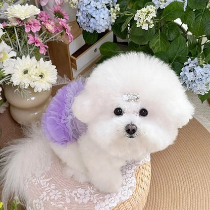 Lightweight Purple Lace Dog Summer Dress for Small Pets