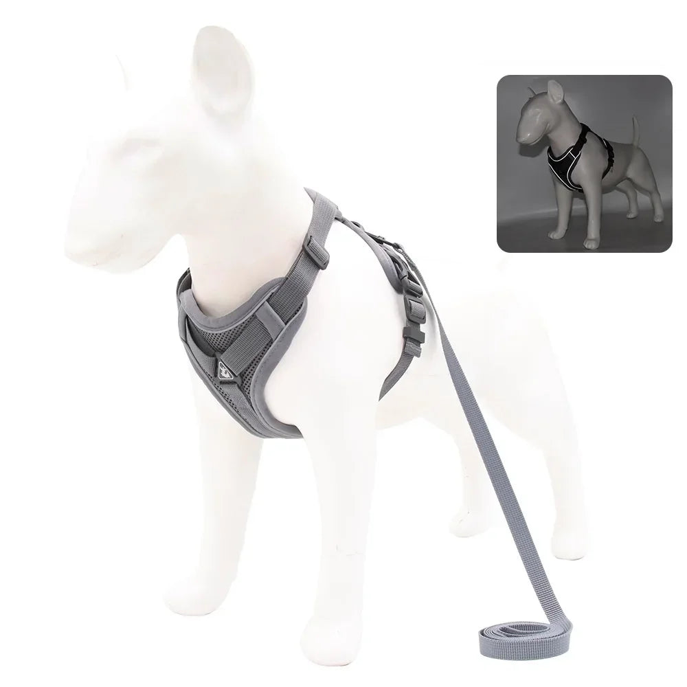Adjustable No-Pull Dog Harness with 1.5m Leash Set