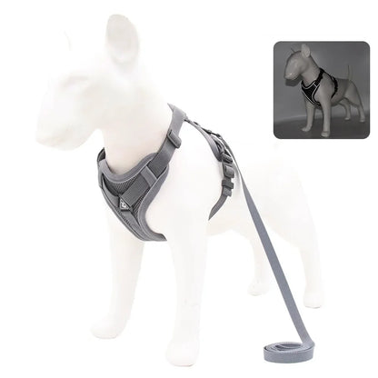 Adjustable No-Pull Dog Harness with 1.5m Leash Set