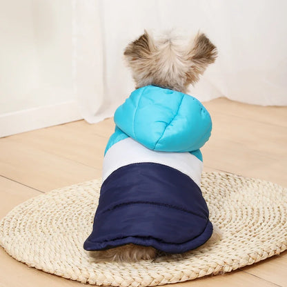Waterproof Windproof Dog Hoodie for Small Dogs and Cats