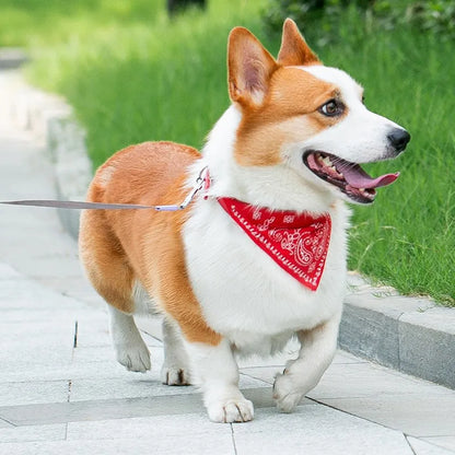 Adjustable Scarf Collar for Small Dogs and Puppies
