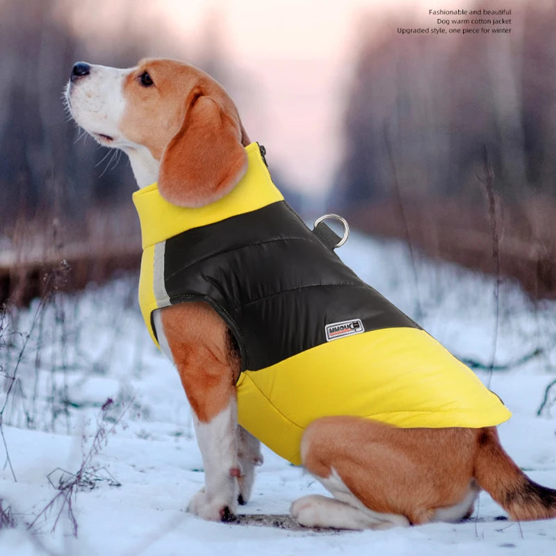 Waterproof Winter Dog Jacket for Small & Large Dogs
