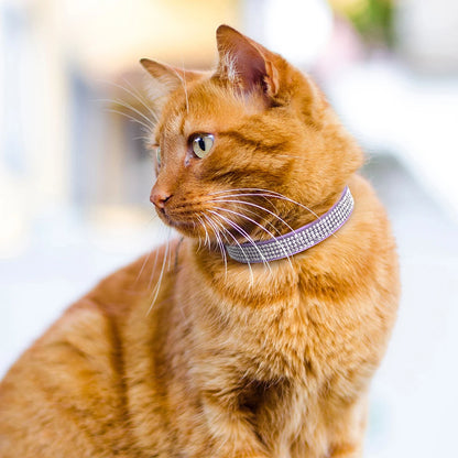 Adjustable Pink Rhinestone Cat Collar with Safety Breakaway