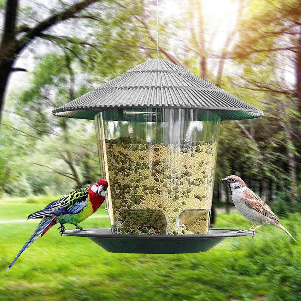 Transparent Window Bird Feeder for Nuts and Seeds