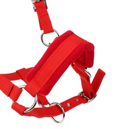 Padded Pony Horse Halter and Bridle for Riding