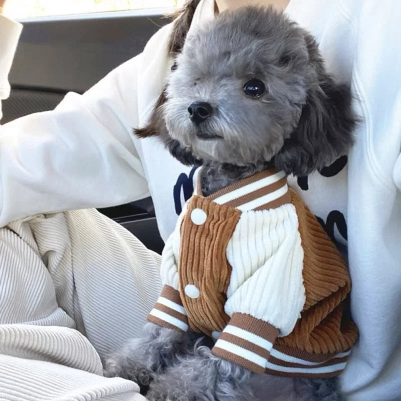 Embroidered Baseball Jacket for Small Dogs and Cats