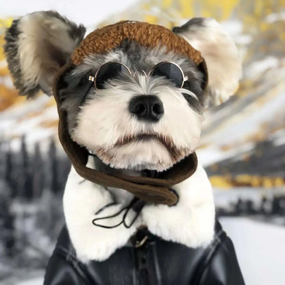 Warm Fleece-Lined Leather Jacket for Dogs and Cats