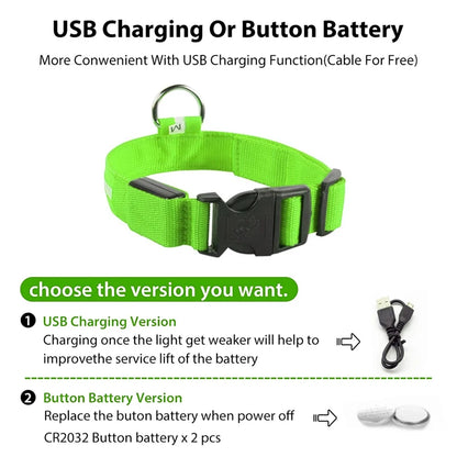 LED Light-Up Dog Collar for Night Safety - USB Rechargeable