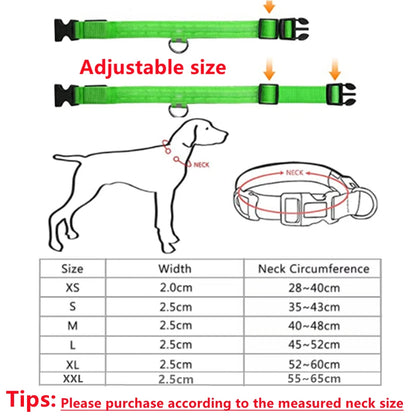 LED Glowing USB Rechargeable Pet Safety Collar for Dogs and Cats