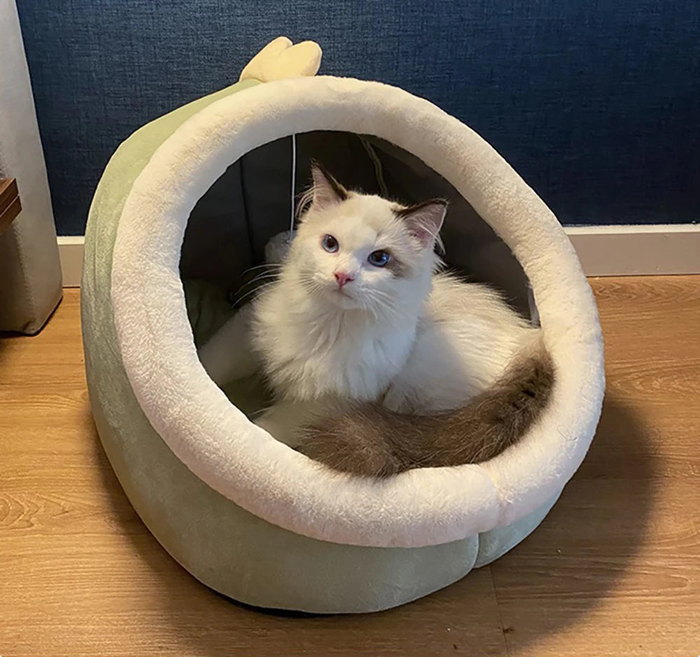 Washable Cat Beds and Cushions for Small Pets