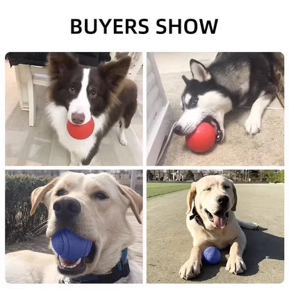 Bite-Resistant Rubber Dog Ball Toy for Puppies and Dogs
