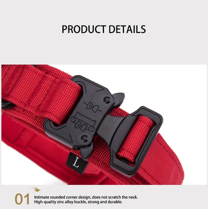 Durable Nylon Dog Collar and Reflective Leash Set