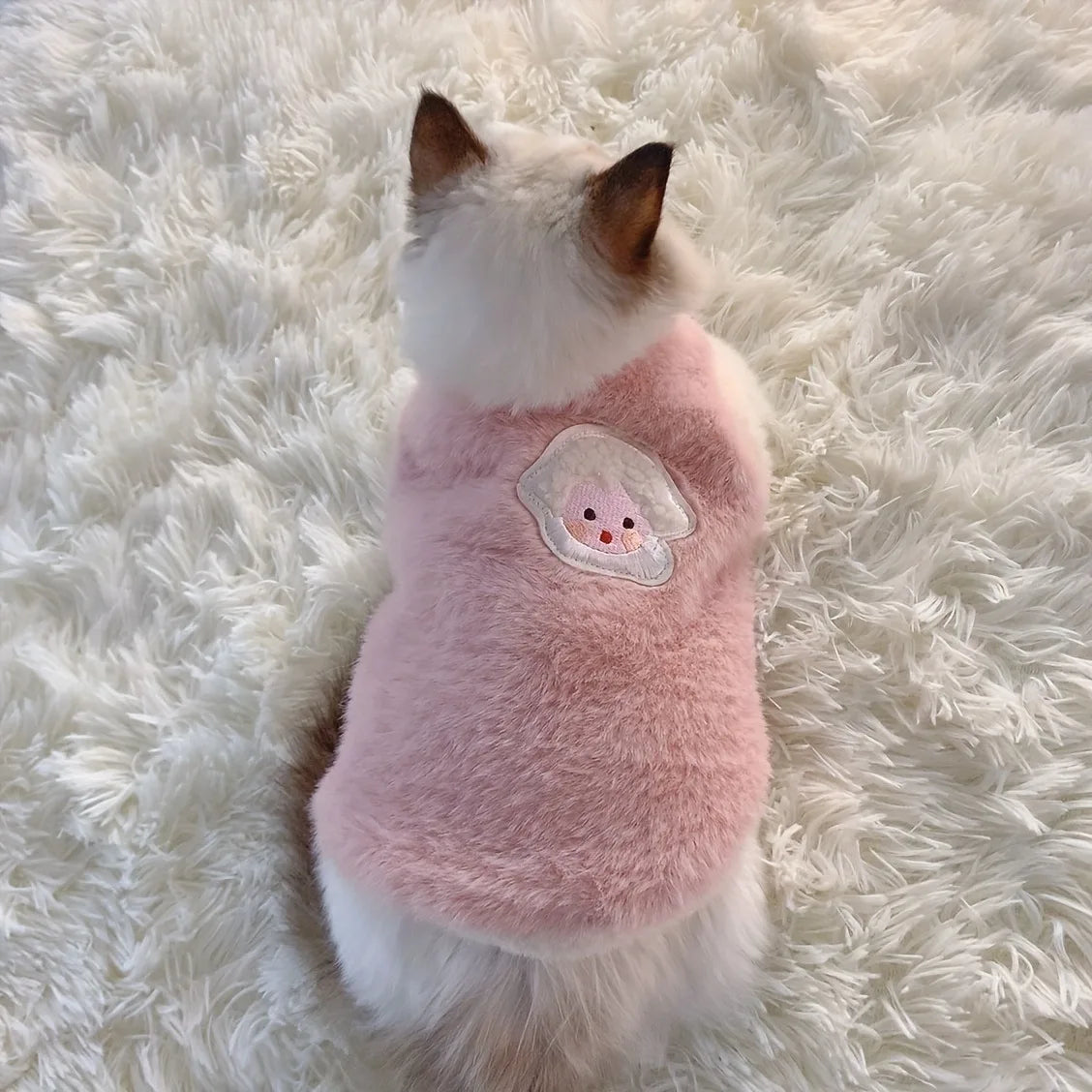 Cozy Winter Clothes for Small Cats and Dogs