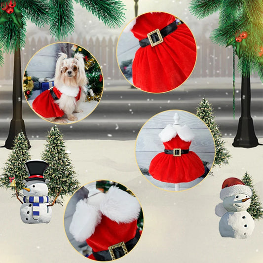 Red Christmas Dog Dress with Bow Skirt for Winter Wear