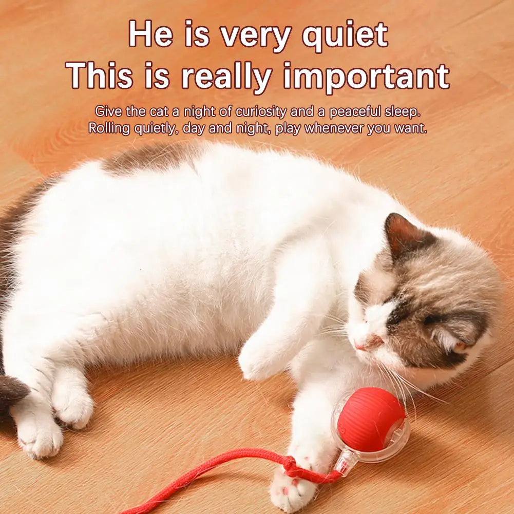 Rechargeable Interactive Cat Ball Toy with Faux Tail