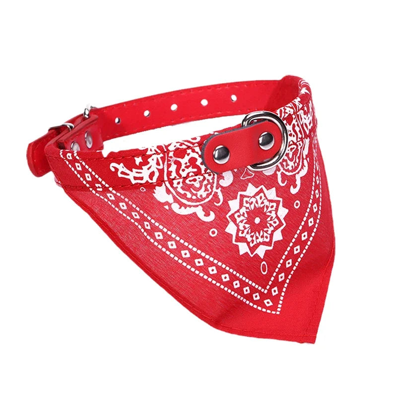Adjustable Scarf Collar for Small Dogs and Puppies