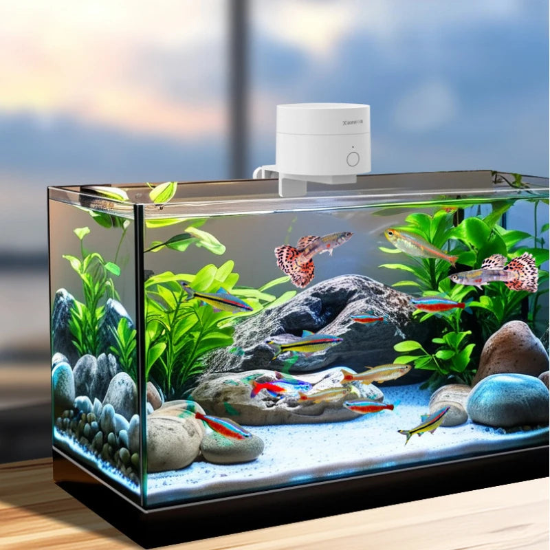 Timed Fish Feeder for Small Tanks - Clog-Free Design