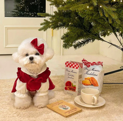 Winter Warm Dog Dress Set with Bow Knot for Small Breeds