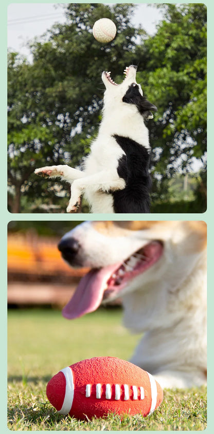 Natural Latex Dog Balls for Small to Large Dogs