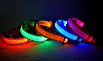 LED Light-Up Dog Collar for Night Safety - USB Rechargeable