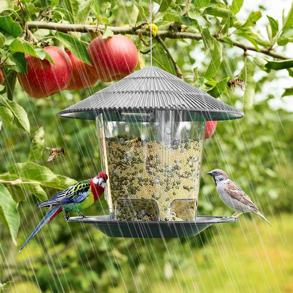 Transparent Window Bird Feeder for Nuts and Seeds