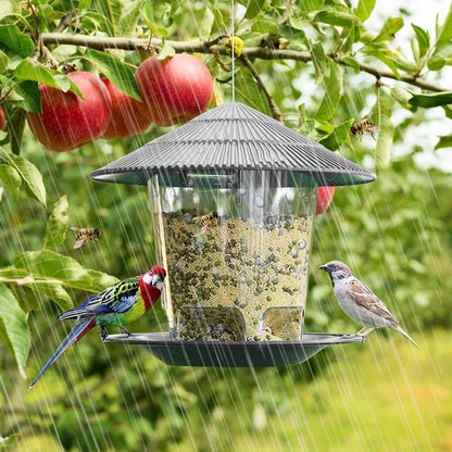 Transparent Window Bird Feeder for Nuts and Seeds