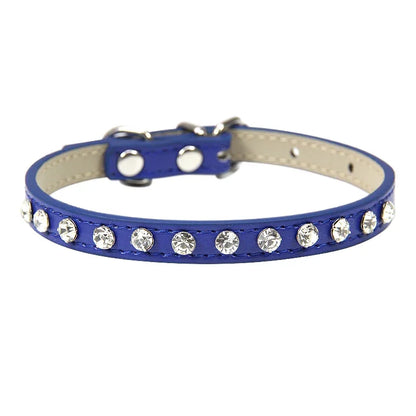 Rhinestone Cat Collar and Leather Dog Neck Strap