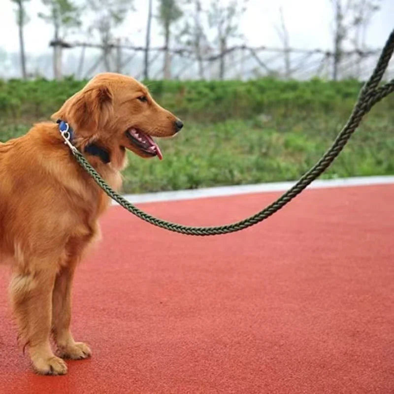 Nylon Braided Dog Leash for Large Breeds - Heavy Duty Walking Rope