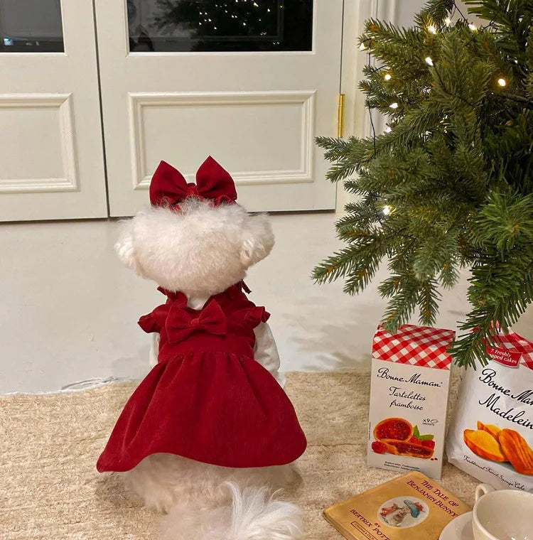 Winter Warm Dog Dress Set with Bow Knot for Small Breeds