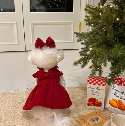 Winter Warm Dog Dress Set with Bow Knot for Small Breeds