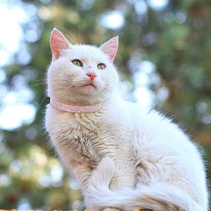 Adjustable Pink Rhinestone Cat Collar with Safety Breakaway