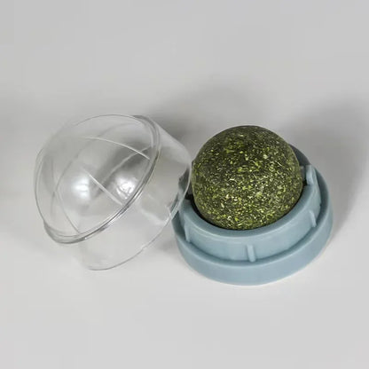 Natural Catnip Wall Ball Toy for Healthy Digestion