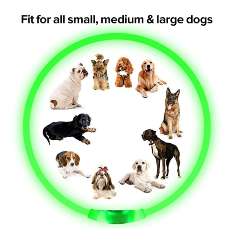 LED Glowing USB Rechargeable Pet Safety Collar for Dogs and Cats