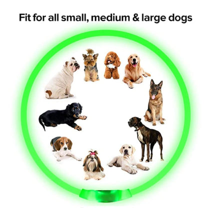 LED Glowing USB Rechargeable Pet Safety Collar for Dogs and Cats