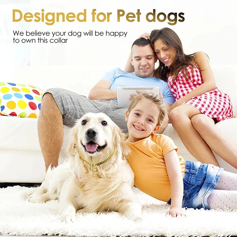 Gold Stainless Steel Chain Collar for Medium & Large Dogs